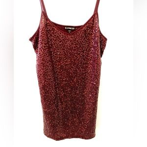 EXPRESS sequin tank top. Sz S